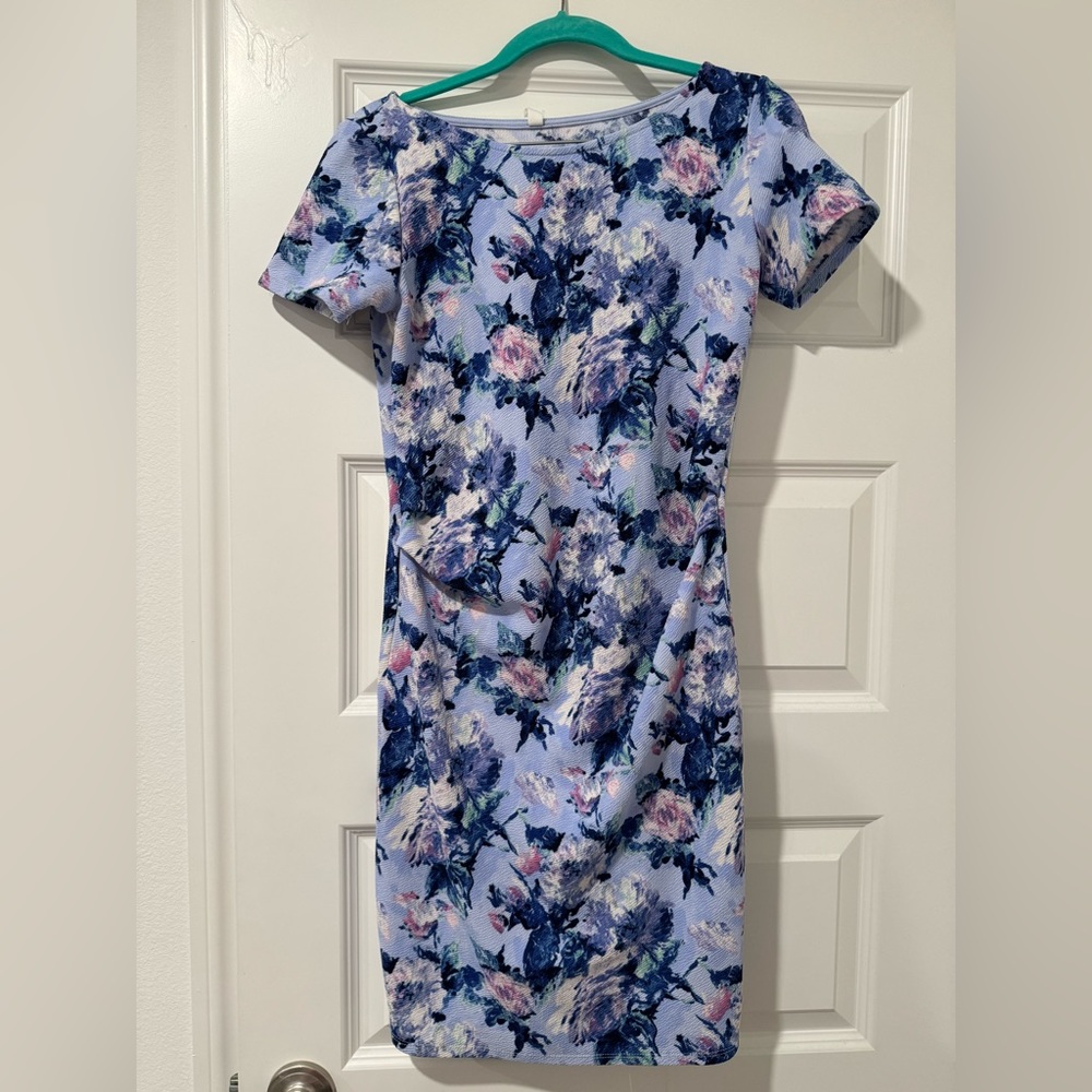 Pinkblush Blue Floral Maternity Dress